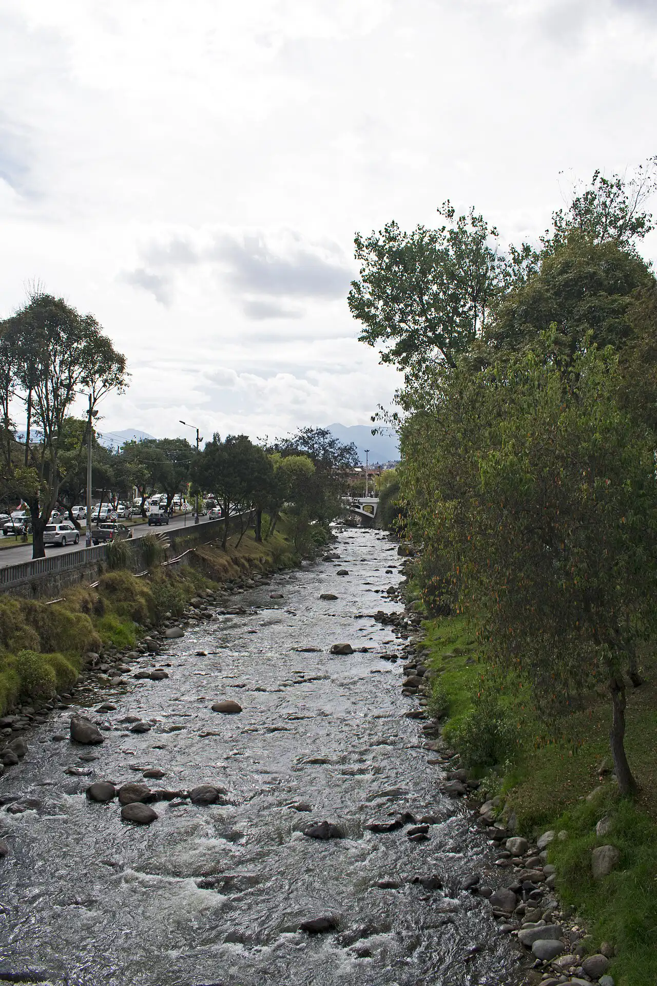 Paseo arbolado a orillas del Río Tomebamba con sauces y orillas verdes